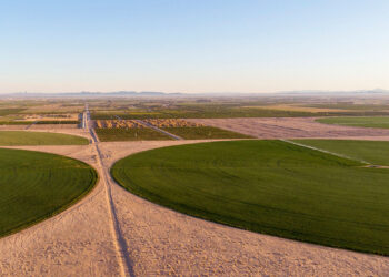 Climate change will hurt the richest farmers—and the poorest