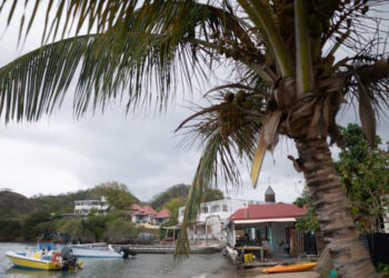 🌟The Bright Side: French scientists identify new blood type in Guadeloupe woman