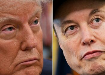 Seth Meyers Weighs In On Elon Musk And Trump Feud