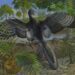 New Archaeopteryx Fossil Rewrites Early Bird Evolution