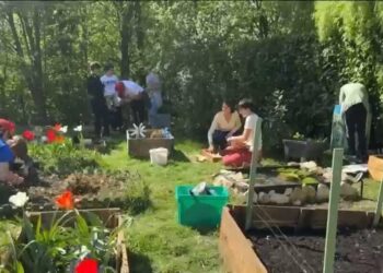 Vegetable Garden World Cup: 'We all need to reconnect with nature and our health'