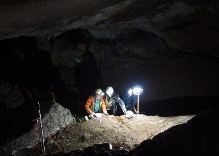 20,000 Years Old – Scientists Discover Oldest Whale Bone Tools