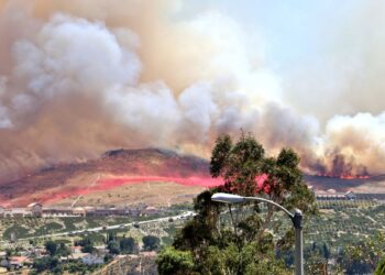 How to Prepare for a Climate Disaster in Trump’s America