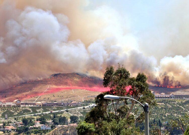 How to Prepare for a Climate Disaster in Trump’s America
