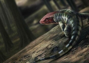 Game-Changing Fossil Discovery Reveals That Reptiles Appeared on Earth Millions of Years Earlier Than Thought