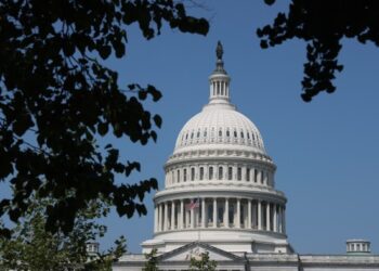 White House insists Trump’s ‘big, beautiful’ bill will help slash US debt