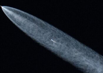 Does Musk’s feud with Trump pose a risk to U.S. access to space? : NPR