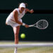 Swiatek defeats Anisimova to win Wimbledon title