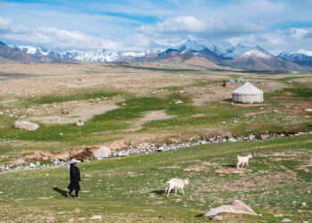 The world’s oldest cheese sheds light on ancient Chinese culture