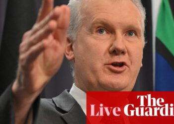 News live: Tony Burke calls Melbourne synagogue fire an ‘attack on Australia’; woman bitten by animal at Queensland zoo in stable condition | Australia news