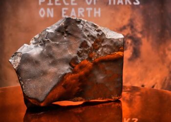 Largest Piece Of Mars On Earth Fetches Millions At Auction