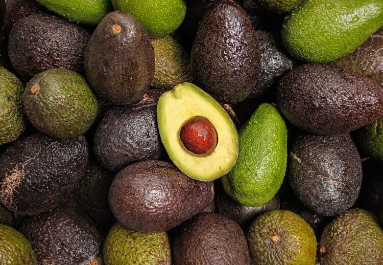 How Ancient Farmers Engineered the Avocados We Eat Today