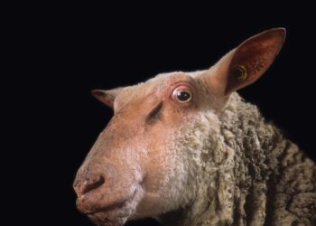 Athens Exhibition Says the Revolution Could Begin on Your Plate