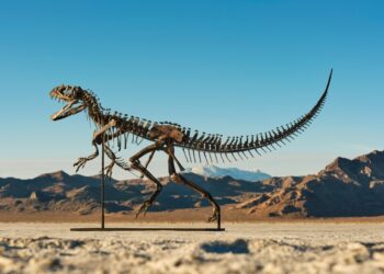 Ceratosaur Dinosaur Skeleton Sells for $30.5 Million by Sotheby’s