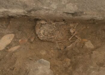 DNA Clues Point to an Ancient Matriarchal Society at Çatalhöyük