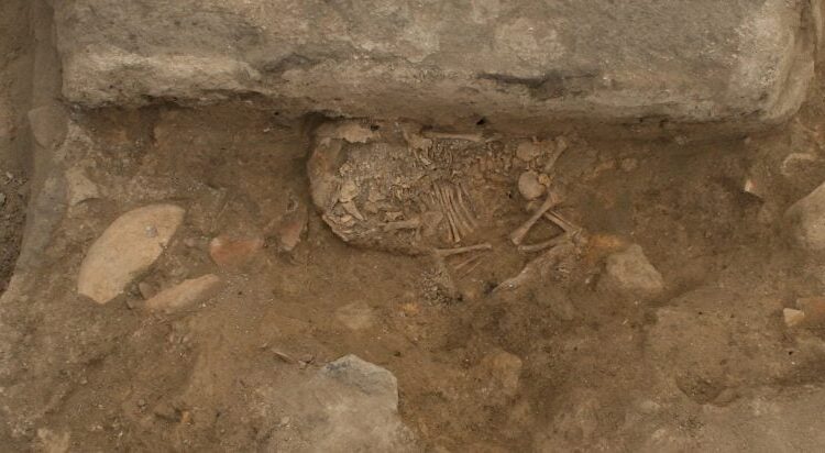 DNA Clues Point to an Ancient Matriarchal Society at Çatalhöyük