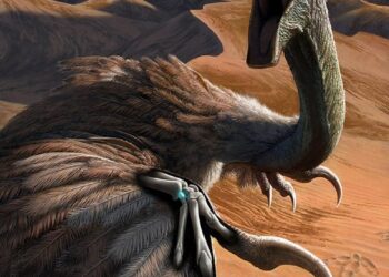 This Tiny Dinosaur Wrist Bone Could Rewrite the Origins of Flight