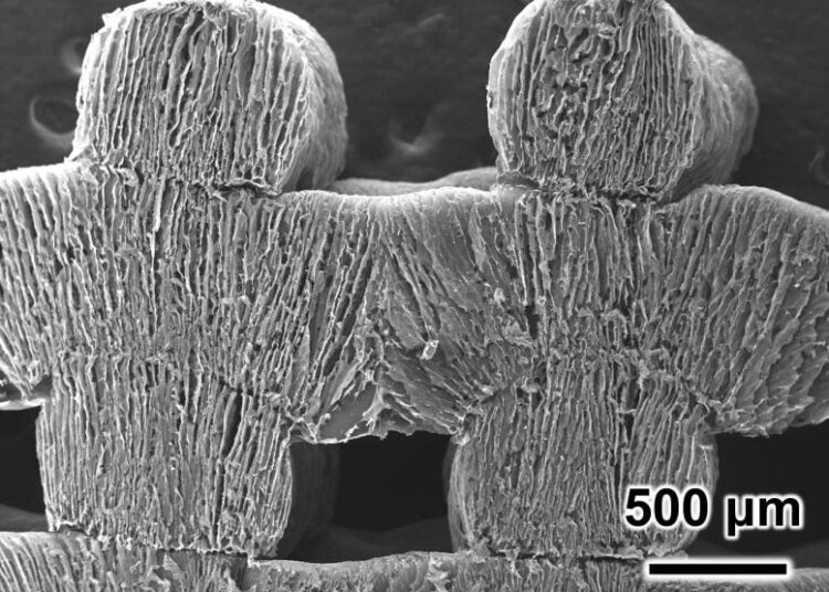 This Breakthrough Sponge Could Change How the World Gets Clean Water