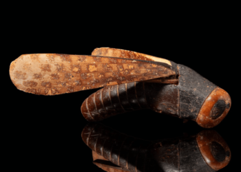 Auction House Will Sell Egyptian Artifact Despite Concern From Experts