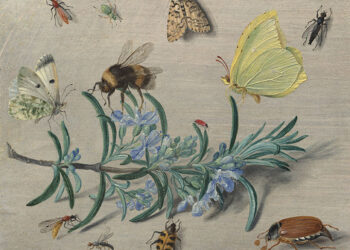 ‘Little Beasts: Art, Wonder, and the Natural World’ Review: A Scientist’s Eye, an Artist’s Hand