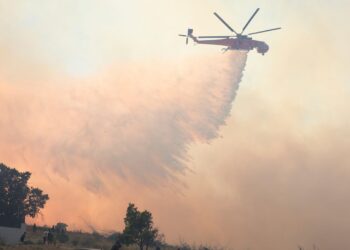 Firefighters tackle blazes as wildfires break out in Greece, Turkey and Albania | World News
