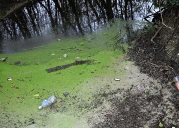 Why has there been a surge in water pollution? | World News