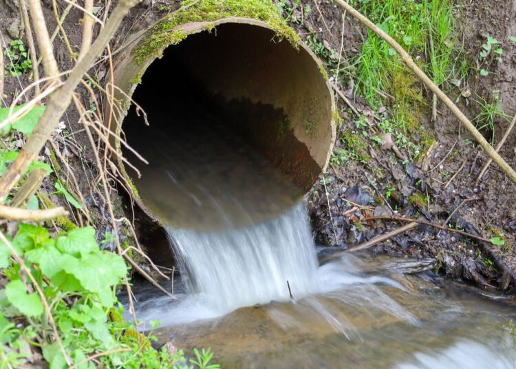 Labour will eliminate unauthorised sewage spillages in a decade, environment secretary says | UK News