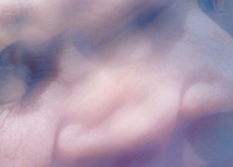 The Next Thing You Smell Could Ruin Your Life