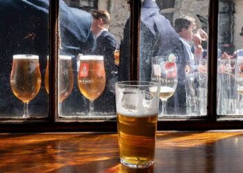 New yeast strains can produce untapped flavours of lager