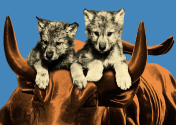 Meet the ambitious wolf cubs of Wall Street