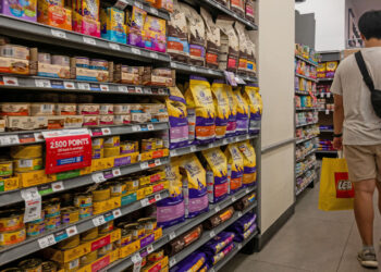 Why America can’t shake off inflation