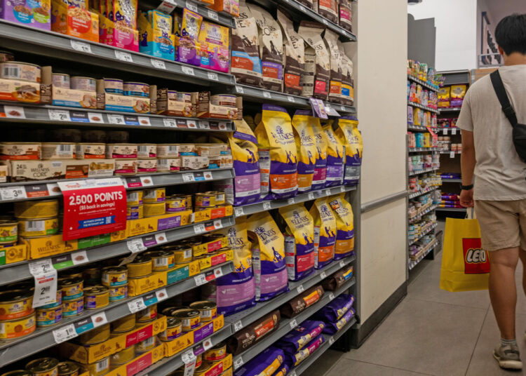 Why America can’t shake off inflation