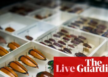 Australia news live: new ‘diversity vaults’ at CSIRO preserve a million beetles; unemployment nudges down in latest data | Australia news