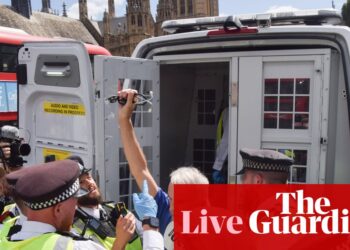 Ed Davey calls for review of terrorism legislation after Palestine Action arrests – UK politics live | Politics