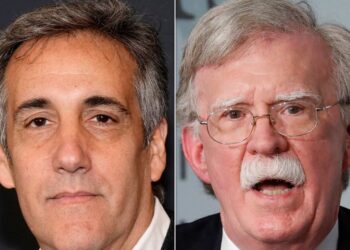 Michael Cohen Has Blunt Advice For John Bolton After FBI Raid On Home