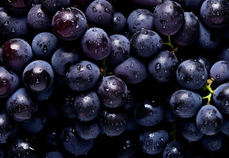 New Study Reveals This Popular Fruit Is Actually a “Superfood”