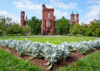 White House Targets Specific Artworks at Smithsonian Museums