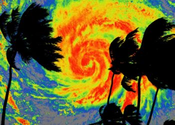 Trump administration suspends FEMA employees who warned about disaster response