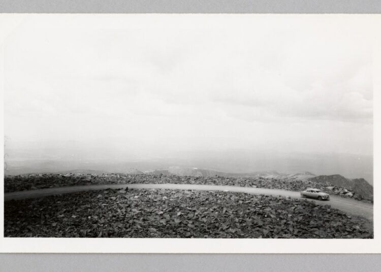 ‘In Search of America: Photography and the Road Trip’ Review: Moving Images