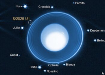 New moon discovered orbiting ice giant Uranus | Science, Climate & Tech News