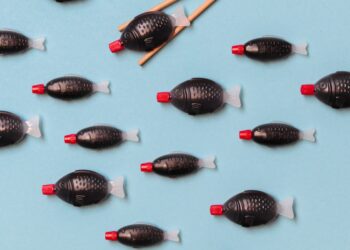 South Australia to become first place in the world to ban soy sauce fish-shaped containers | Science, Climate & Tech News