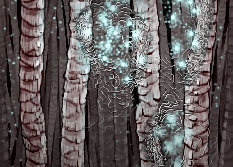 Harvard Finds a Way To Recycle Hair Without Harsh Chemicals