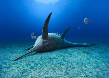 Scientists Discover Ancient New Ichthyosaur Species in Germany