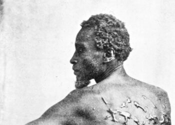 Trump Orders National Park to Remove ‘Scourged Back’ Photograph