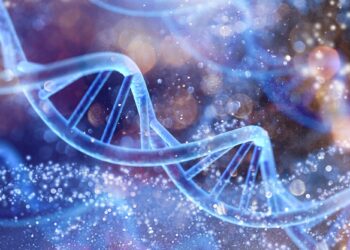 The Surprising Way Parents Transfer Longevity to Offspring