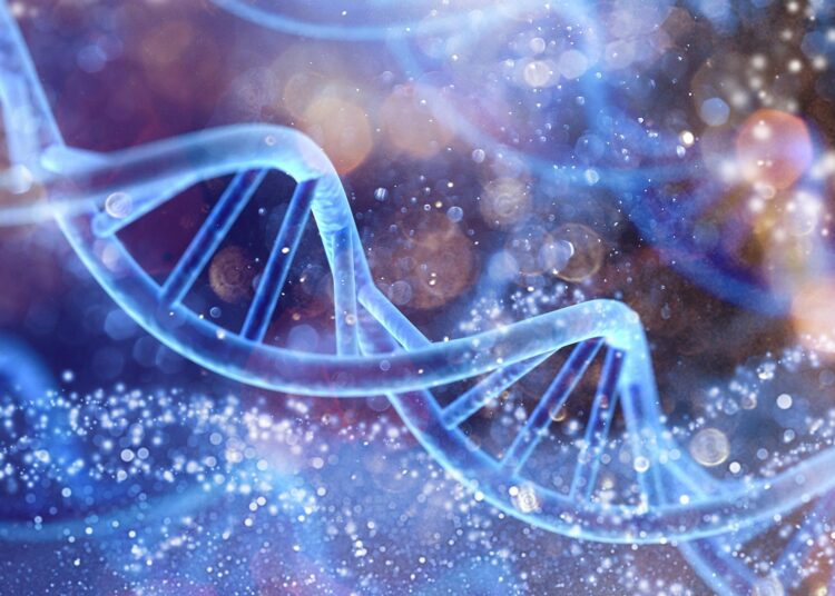 The Surprising Way Parents Transfer Longevity to Offspring