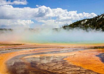 These Newly Discovered Cells Breathe in Two Ways