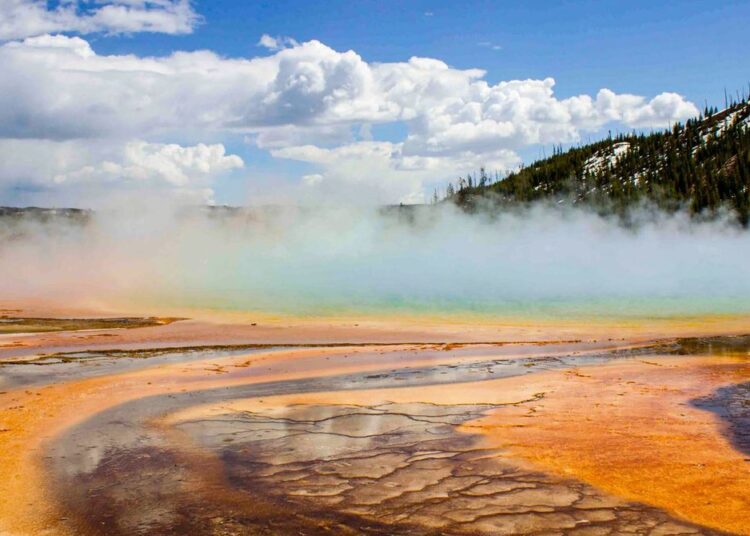 These Newly Discovered Cells Breathe in Two Ways