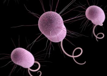‘Nightmare bacteria’ cases rising in the US | Science, Climate & Tech News