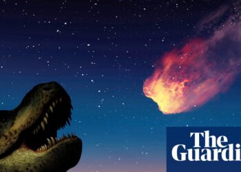 Dinosaurs were thriving until asteroid struck, research suggests | Dinosaurs